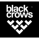 Black Crows