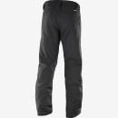Salomon ICEMANIA PANT M black
