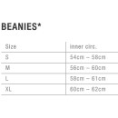 ION Tec Beanie black