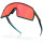 Oakley Sutro Community Collection Matte Balsam Fade / Prizm Trail Torch