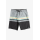 Billabong Short All Day HTR Stripes OG