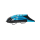 Neilpryde Fly III 5.4 petrol Wing 2025