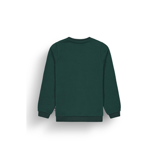 Picture Tofu Sweater Ponderosa Pine