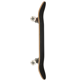 Skateboard Powerslide Playlife 31x8 Bear