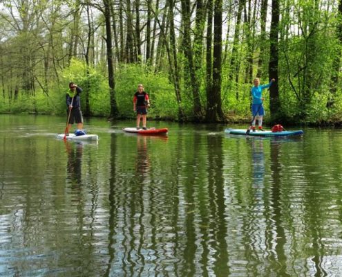 Spreewald SUP Tour - Wild East Stand Up Paddling