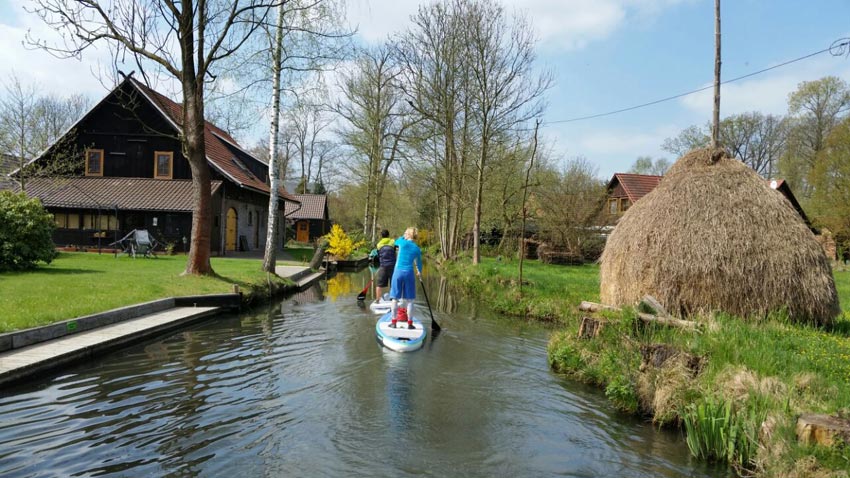 Spreewald SUP Tour - Wild East Stand Up Paddling